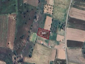 MERKEZ ELMACIK KÖYÜNDE ACİL SATILIK 1.660 M2 BAĞ