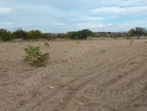 SİVASLI HACIM KÖYÜNDE MÜKEMMEL KONUMDA SATILIK TARLA