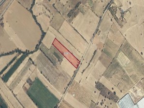 BANAZ HASAN KÖYÜNDE SATILIK 9.004 M2 TARLA