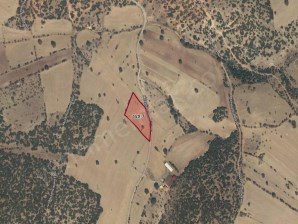 MERKEZ ÇINARCIK KÖYÜNDE 5.789m2 YATIRIMLIK SATILIK TARLA