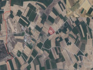 KOYUNBEYLİ KÖYÜNDE 15 DÖNÜM SATILIK TARLA