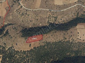 SELVİOĞLU KÖYÜ YÜĞLÜK MEVKİİ SATILIK 7176 M² TARLA