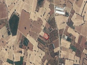 UŞAK SİVASLI ATATÜRK MAHALLESİNDE 2.900 M² SATILIK TARLA