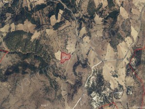 UŞAK MERKEZ ÇUKURAĞIL KÖYÜNDE 15 DÖNÜM SATILIK TARLA