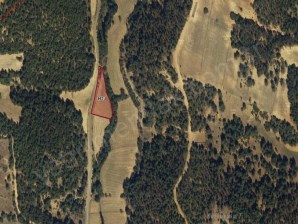 UŞAK MERKEZ BOZKURT MAHALLESİ YOLA 80 METRE CEPHESİ BULUNAN TARLA