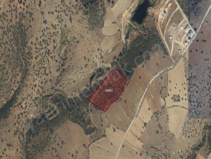 UŞAK MERKEZ MENDE KÖYÜNDE 20 DÖNÜM SATILIK TARLA