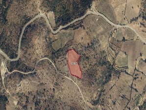 UŞAK MERKEZ YEŞİLDERE KÖYÜNDE SATILIK 12 DÖNÜM TARLA