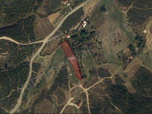 UŞAK MERKEZ SELVİOĞLU KÖYÜNDE 2614 M² SATILIK TARLA