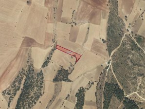 YEŞİL KARAAĞAÇTA 5555 M² SATILIK TARLA