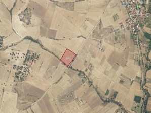 KIRKA KÖYÜNDE RESMİ YOLA CEPHESİ OLAN YERLEŞİM ALANINA YAKIN TARLA