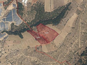 SELVİOĞLU KÖYÜNDE MARJİNAL RAPORU HAZIR 43.000 M² SATILIK TARLA