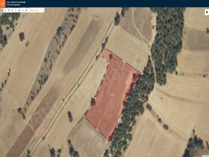 YEŞİL KARAAĞAÇ KÖYÜNDE 8155M2 SATILIK TARLA 