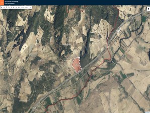 UŞAK   AFYON YOLUNA CEPHE DÜZLÜCE KÖYÜNDE 37 DÖNÜM SATILIK TARLA 