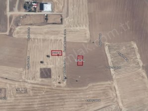 ÇAKIR HALI SAHA YAKINI 4 KATA MÜSADELİ 392 M² SATILIK ARSA