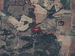 UŞAK MERKEZ BOZKÖYDE UYGUN FİYATLI SATILIK TARLALAR