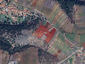 SELVİOĞLU KÖYÜNDE 17.500 M2 SATILIK TARLA