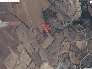 BOZKURT MAHALLESİ 4.ETAP TOKİ YAKINI İMARLI 8 ADET SATILIK ARSA