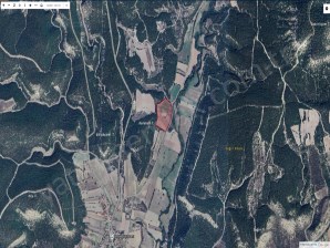 GÜNELİ KÖYÜ YERLEŞİM ALANI YAKINI  32 DÖNÜM SATILIK TARLA