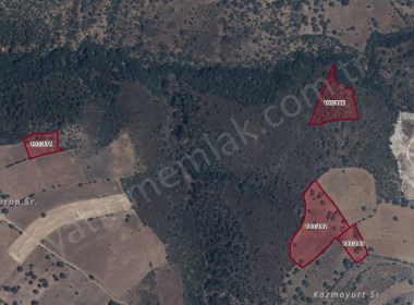 SELVİOĞLU KÖYÜNDE UYGUN FİYATLI SATILIK TARLALAR