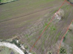   Kandıra Babaköy mah. Satılık, kadastro yolu olan 1676 m² parsel