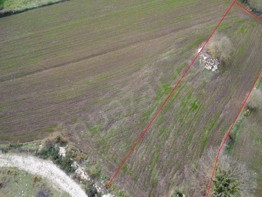   Kandıra Babaköy mah. Satılık, kadastro yolu olan 1676 m² parsel