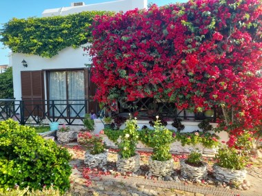 4+1 Villa 200m2