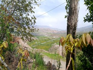 TOPRAKKALE MAHALLESİNDE BİR TAKIM EV.VE 4 DÖNÜM KAYISI BAHÇESİ SATILIKTIR,