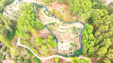 ALANYA DİMÇAYI DA SATILIK TARLA 2.400 M2 1+1 EV VAR İÇİNDE