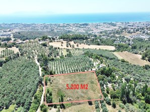 Kuşadası Soğucakta Zon 1 İmarlı Satılık 10 Villalık Arsa