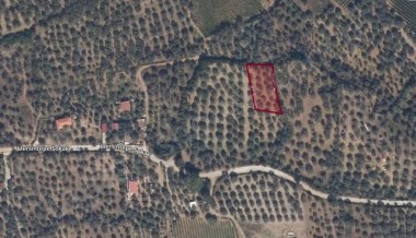 İzmir  Selçuk  Burgaz Köyünde satılık 1221 m² arazi…