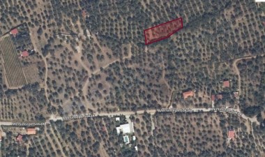 İzmir  Selçuk  Gökçealan Köyünde satılık 1322 m² arazi…