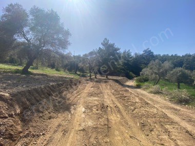 ALATEPEDE DENİZE 8KM İÇERİSİNDE ÇATI KAYITLI DÜZ TARLA