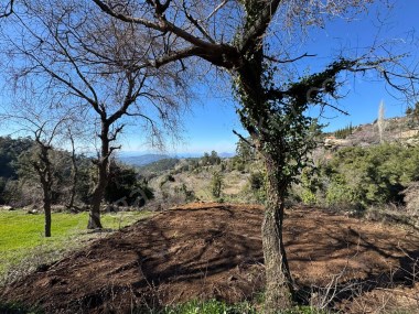 DAĞPINARDA KÖY İÇİ  211m2 KÖYİÇİ ARSA