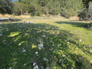 DAĞPINAR 367M2 ANA YOL KENARI TARLA
