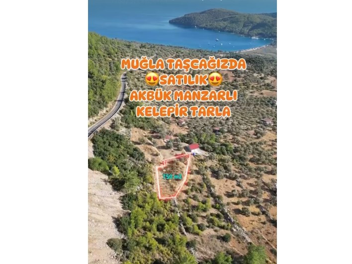 DENİZ MANZARALI MUHTEŞEM TARLA
