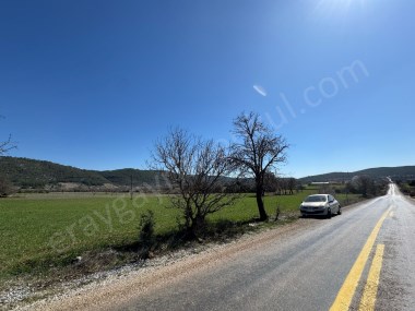 ÇİFTLİKTE 6290 M2 DÜM DÜZ TARLA
