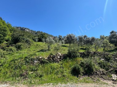 DENİZE 6KM MESAFEDE TARLA