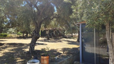 MUĞLA ÇÖKERTMEDE YATIRIMLIK TARLA