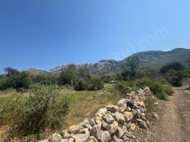 MUĞLA SÖĞÜTLÜDE DENİZ YAKIN TARLALAR