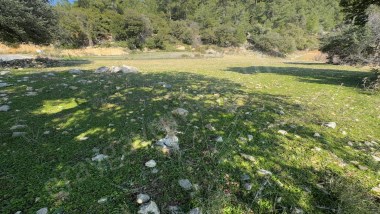 DAĞPINAR 367M2 ANA YOL KENARI TARLA