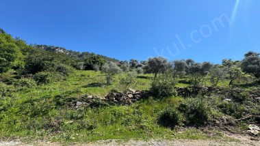 DENİZE 6KM MESAFEDE TARLA