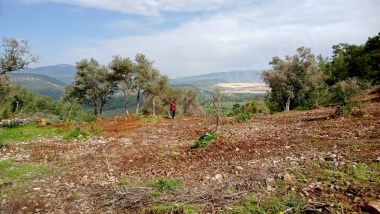  MUĞLA  ÇAMLICA – 1370 m² TEK TAPU TARLA 😊