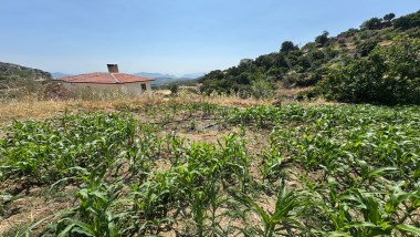 ZEYTİN KÖYDE 237 M2 İMARLI ARSA 