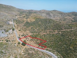 4.628 m² Olivenhain zu verkaufen in Bodrum Mazı! 🌿🏡