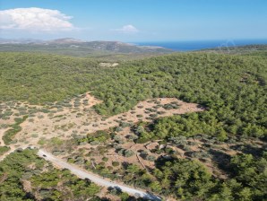 Zu Verkaufen: 7.822 m² Olivenhain in Bodrum Yalıçiftlik