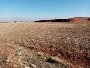 KARTALDAN  SELÇUK  ÜNV.ARKASINDA ARDIÇLIDA  YATIRIMLIK  TARLA
