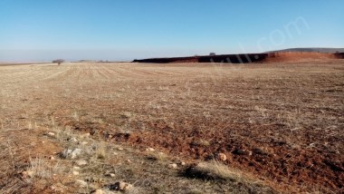 KARTALDAN  SELÇUK  ÜNV.ARKASINDA ARDIÇLIDA  YATIRIMLIK  TARLA