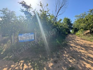 DOĞANCILAR DA 10.334 M2 DENİZ MANZARALI SATILIK FINDIK BAHÇESİ