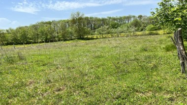 KOCAELİ KANDIRA ÇAMKONAK’TA 1790 m² TEK TAPU SATILIK TARLA!