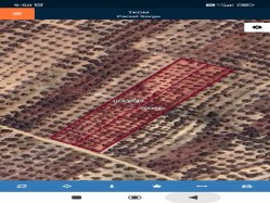 2 ADET 4.000 M2 TEK TAPU 8.000 M2